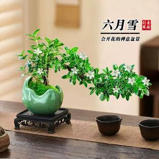 ����ѩ��߅�����h֦���ͺ��մɻ����Ϙ����Ԅ���Gֲֲ���҃Ȼ���