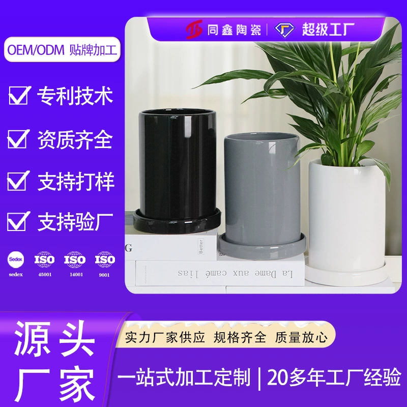 Индивидуальный керамический цветочный горшок Dehua Tongxin Современный простой сплошной цвет Экспорт Южная Корея Длинный трубчатый цветочный горшок