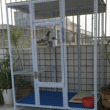 鸽子笼鸟笼鸡笼鸭笼鸽舍鸽笼宠物笼角铁材料鸽棚厂家