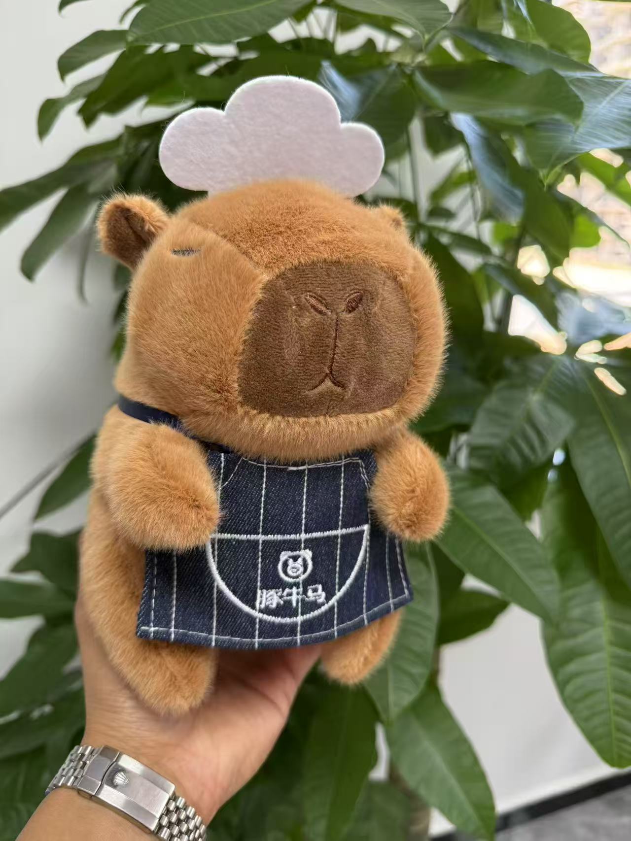 Juguetes de peluche al por mayor transfronterizos tráfico lindo nuevo muñeco de máquina de muñecas de ocho pulgadas lanzamiento de boda pequeño lote de muñecos