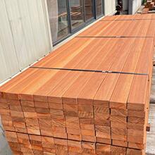 ľذľlˮľͥԺľ嗣̨@}ֱN