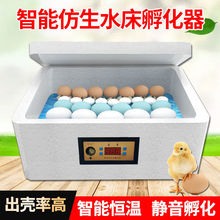 孵化器小型家用智能小鸡孵化机孵小鸡的机器鸭鸽水床孵蛋器亚马逊