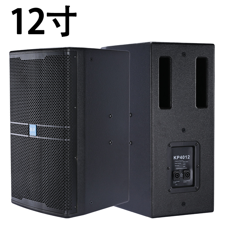 Un altavoz de frecuencia completa de 12 pulgadas (imán de neodimio)