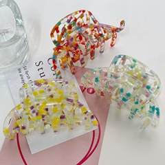 Summer candy jelly acetate transparent hollow-out claw clip—same style as Japanese and Korean Instagram bloggers—unique and elegant back-of-the-head hair clip.