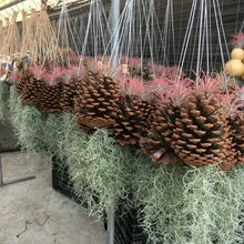 �՚��P����������}�k���Ҵ���ֲ������ȩ��ݗ�仨�ܑ��˟o���Gֲ