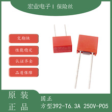 ���� 392 ���� �ܷ� ���ʽ ���� 250V�Դ���U�z T6.3A 250V P5