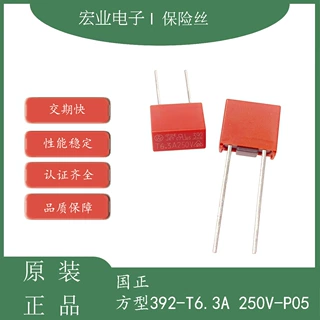 国正 392 方型 塑封 插件式 慢断 250V电源保险丝 T6.3A 250V P5
