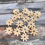 白金边打孔花瓣半成品天然海螺贝壳手工diy材料创意工艺品耗材