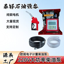 Դ�^���Sֱ���WҎ220v���Ӌ�� Ӌ�r Ӌ����ͣ ���ɼ��͙C ���ͱ�