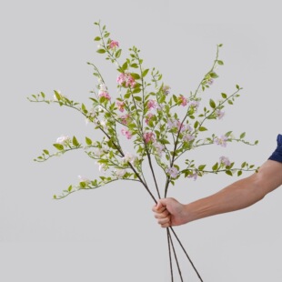 �߂�������������滨�S�ҼҾ��b�c������õ�廨���ٻ��羳