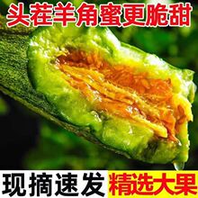 【鲜果代发】山东羊角蜜甜瓜新鲜水果当季脆甜蜜瓜香瓜时令水果