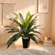 ���W�L����Gֲ���� �͏d��ش����b�ֲ�� ����ľ�����辰 �҃�