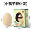 Little duck hatching egg