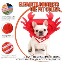 �S��ֱ�N����ɯ��؈�乷����������{�����oȦ�^����ץ���������