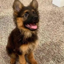 ���N������Ȯƽ���ڱ�������Ȯ��Ȯ܊Ȯ�����ǹ��CȮ���ﹷ���w