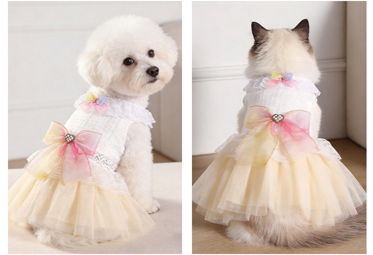 Princess Summer Gradient Lace Dress For Small Dogs And Cats_voghion.com