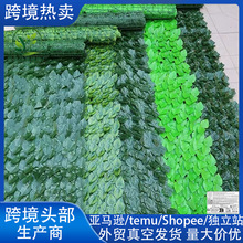 �羳����h�ʾW�����ř������~�ӷ���Gֲ�b����ړ�ֲ��h��