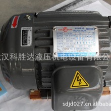 SY电机马达1HP 0.75KW CO1-43BO CO1-43B0 C01-43BO 油泵内插电机