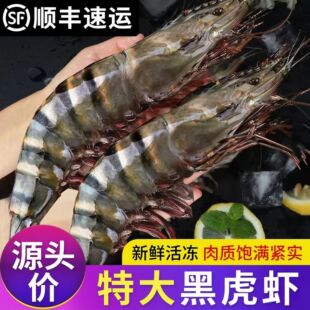 �ك��ڻ����r�������r���r�ϻ��r�r���ش�������r�߹���Ź�