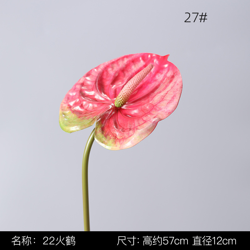 27