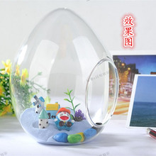 微景观生态瓶蛋形多肉植物花瓶苔藓造景瓶DIY创意摆件厂家批发