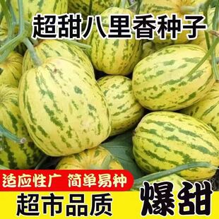 ��������ϷN���������߲˹Ϲ��N������ζ�����۹�СԺ��ͥ�Nֲ