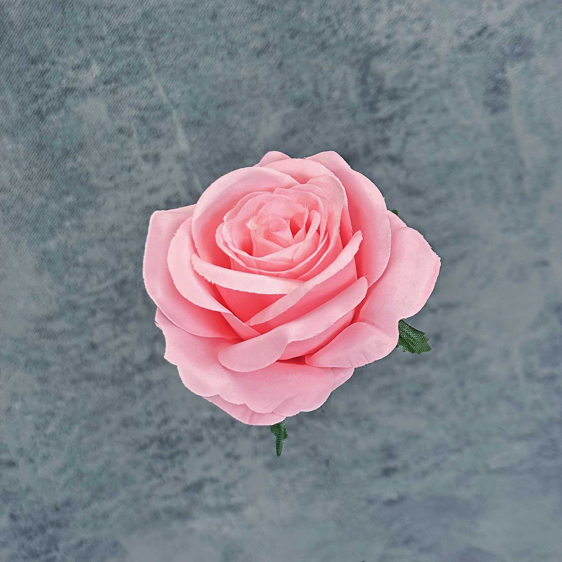 Franela artificial flor Rosa cabeza ramillete rojo boda flor pared tiro apoyos flor artificial arco flor artificial al por mayor