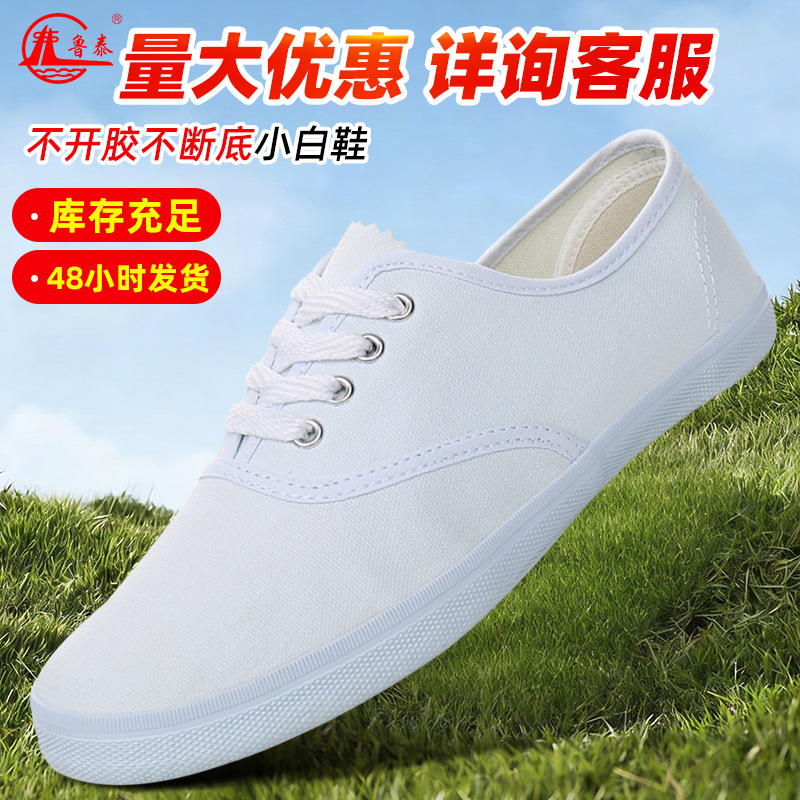 Lutai White Sneakers, Dust-Free Workshop Work Shoes, Soft-Soled Gymnastics Shoes, Lace-Up White Canvas Shoes, Unisex Protective Footwear
