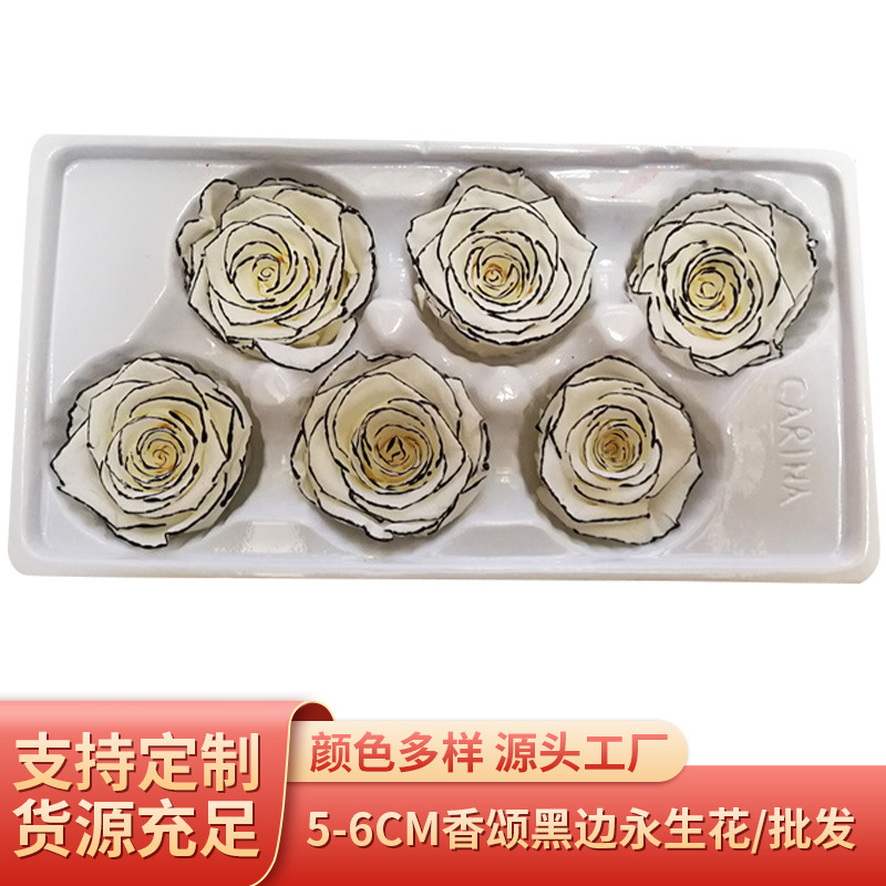 5-6cm香颂系列黑边变色玫瑰永生花眼线玫瑰 圣诞母亲节礼物配花