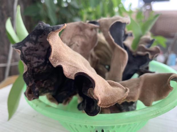 lQDPJxavXa-d1svNBP_NBqqwyCMnMO