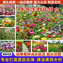 �ļ����ܷN��Ұ���M���߲ʷN�Ӳ�˹��̫ꖻ����ղݽ��u���׻�N��