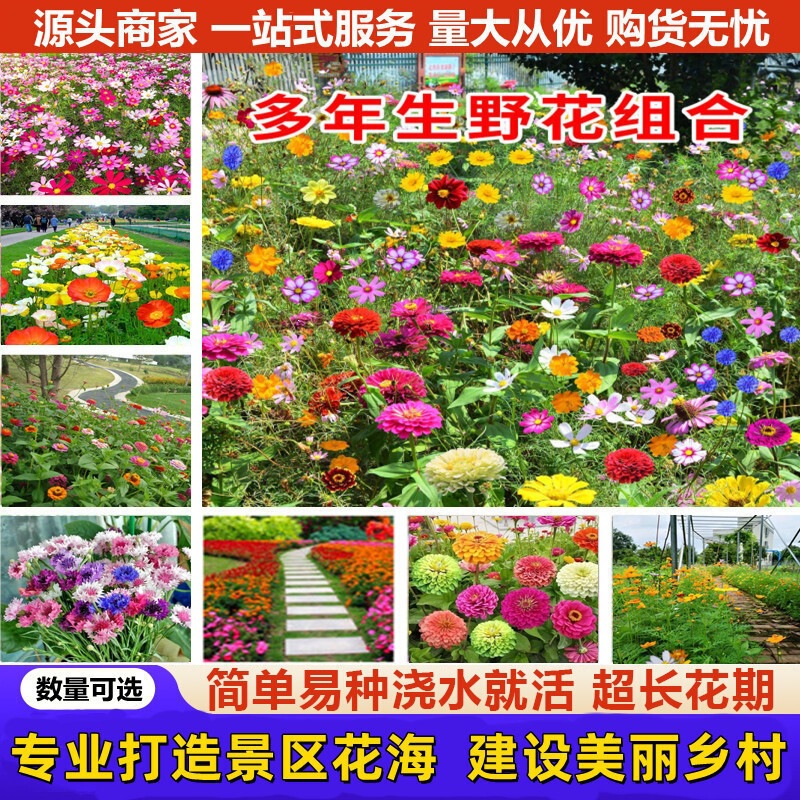 Four-Season Flower Seeds, Wildflower Mix, Colorful Seeds, Cosmos, Sunflowers, Zinnias, Cosmos Gladiatus, Easy-To-Grow Seeds Four-Season Flower Seeds, Wildflower Mix, Colorful Seeds, Cosmos, Sunflowers, Zinnias, Cosmos Gladiatus, Easy-To-Grow Seeds