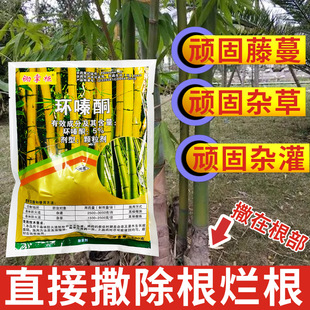 5%�h�ͪ�����w����ֱ�����������l�h�ͪ�w�������ݠ�����������