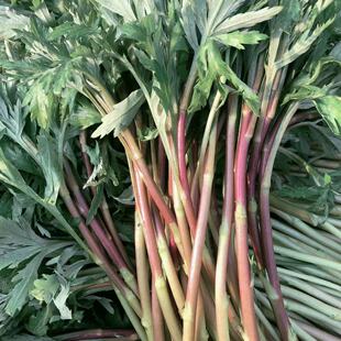 �����t�J��Ͼ����������r�J���߲�޼���Ұ�J��t�J��İ��r