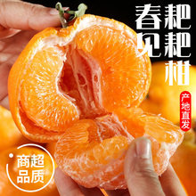 �����@ֱ�l�������Ĵ���֪����ٳ�˹����Ӯ������rˮ���������l