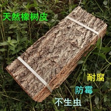 宠物造景树皮软木香槟装饰柱子爬宠躲避水陆缸包遮挡门头墙面守宫