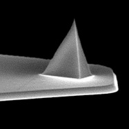 布鲁克/bruker原子力显微镜AFM探针SCANASYST-AIR