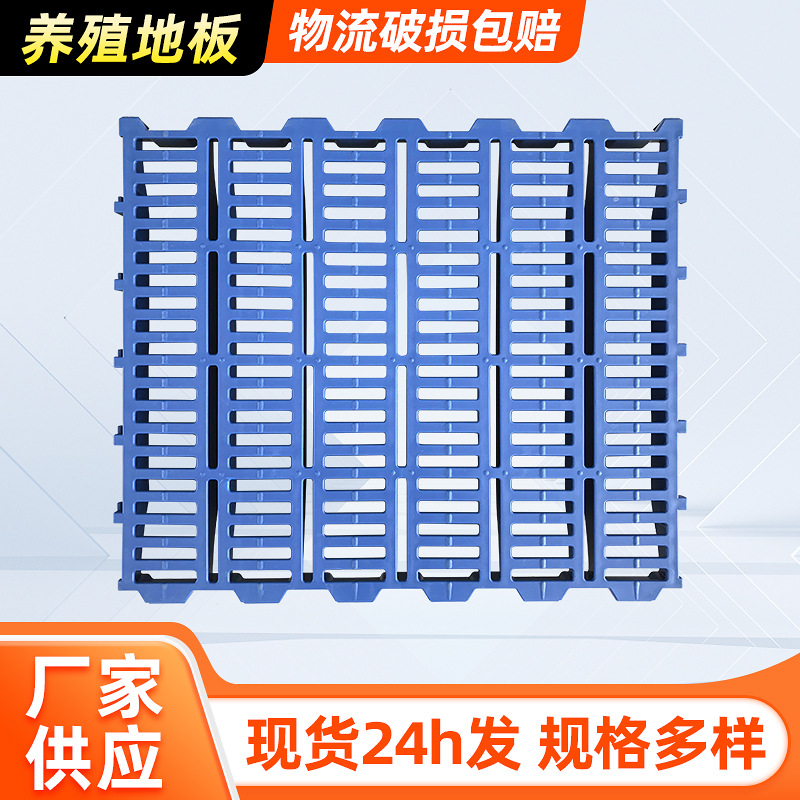 厂家供应pp塑料加厚养殖地板饲养动物母猪漏粪板网格蓝色猪圈地板