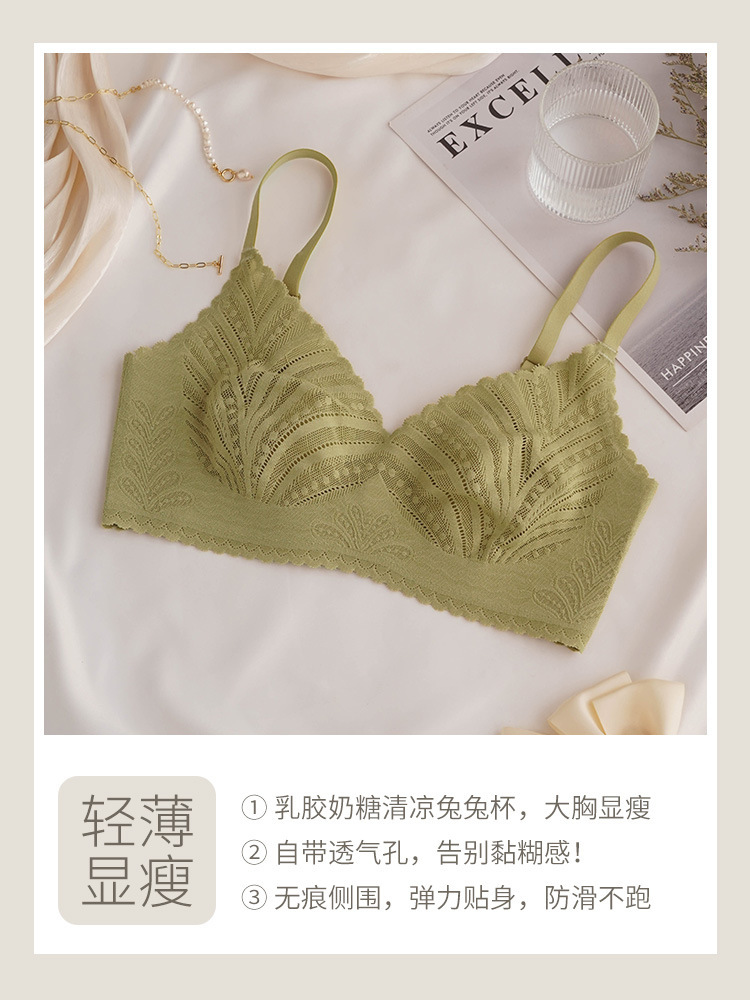 인기 메인 사진 카다몬 그린