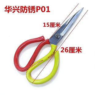 ���ֵ�N��P02�����S�t�Ѽ������òÿp�p�x���� Ƥ�����ü������l