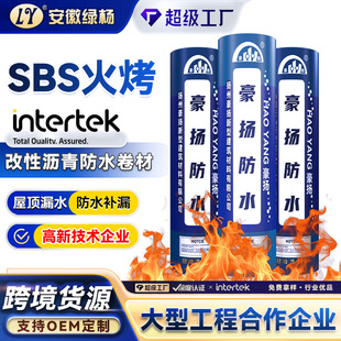 SBS���Ԟr���ˮ���� ����ƽ����픘���a©��ˮ���ϼӺ���ë��