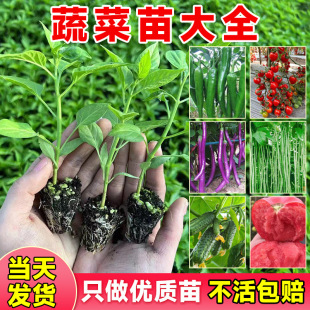 �������N�߲��������ȫ�ļ����t���������S���������Ϸ��N�ѷN��