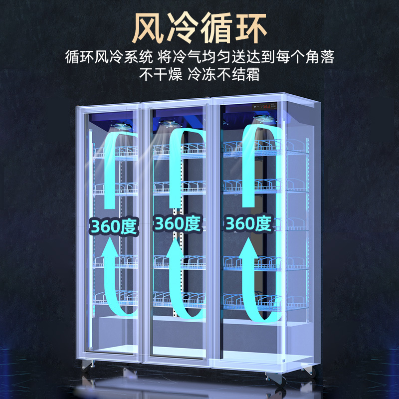 Gabinete de exhibición de bebidas sin helada refrigerado por aire Gabinete de exhibición de refrigeración Gabinete de exhibición de cerveza comercial