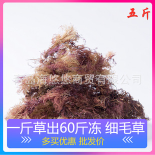 ʯ���˺�ζ��������ԭ�Ϻ�ʯ�����uë�˃������Ӄ�5���b�����߲�