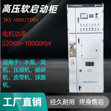 10000V60003300V��ѹ�綯���������� �𶯿���һ�廯�ۺϹ� �Ҷ�