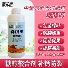 ٻǴ}~߲˹ѹa}߲˸ٲݮ