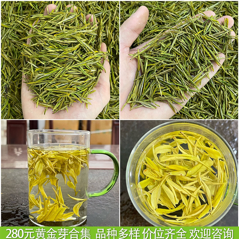 浙江2025年新茶明前茶春茶緑茶安吉工芸濃香型黄金芽茶葉卸売りバラ|undefined