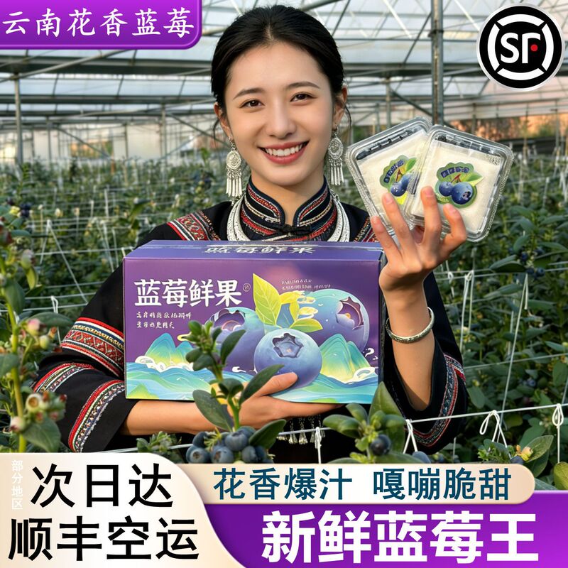 Yunnan Fragrant Blueberries, Fresh Fruit, Extra-Large Fruit, Seasonal In-Stock, L25, Fruit for Pregnant Women, Next-Day Delivery Via Sf Express Yunnan Fragrant Blueberries, Fresh Fruit, Extra-Large Fruit, Seasonal In-Stock, L25, Fruit for Pregnant Women, Next-Day Delivery Via Sf Express
