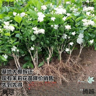 �Iһ�l���������Ԙ����҃�ͥԺ�ļ����B�_��������ú��B��