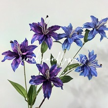 �¿�3D��ӡС�ٺϷ��滨��c�û��Ҿ��b[���ٺϻ��zӰ���߻���